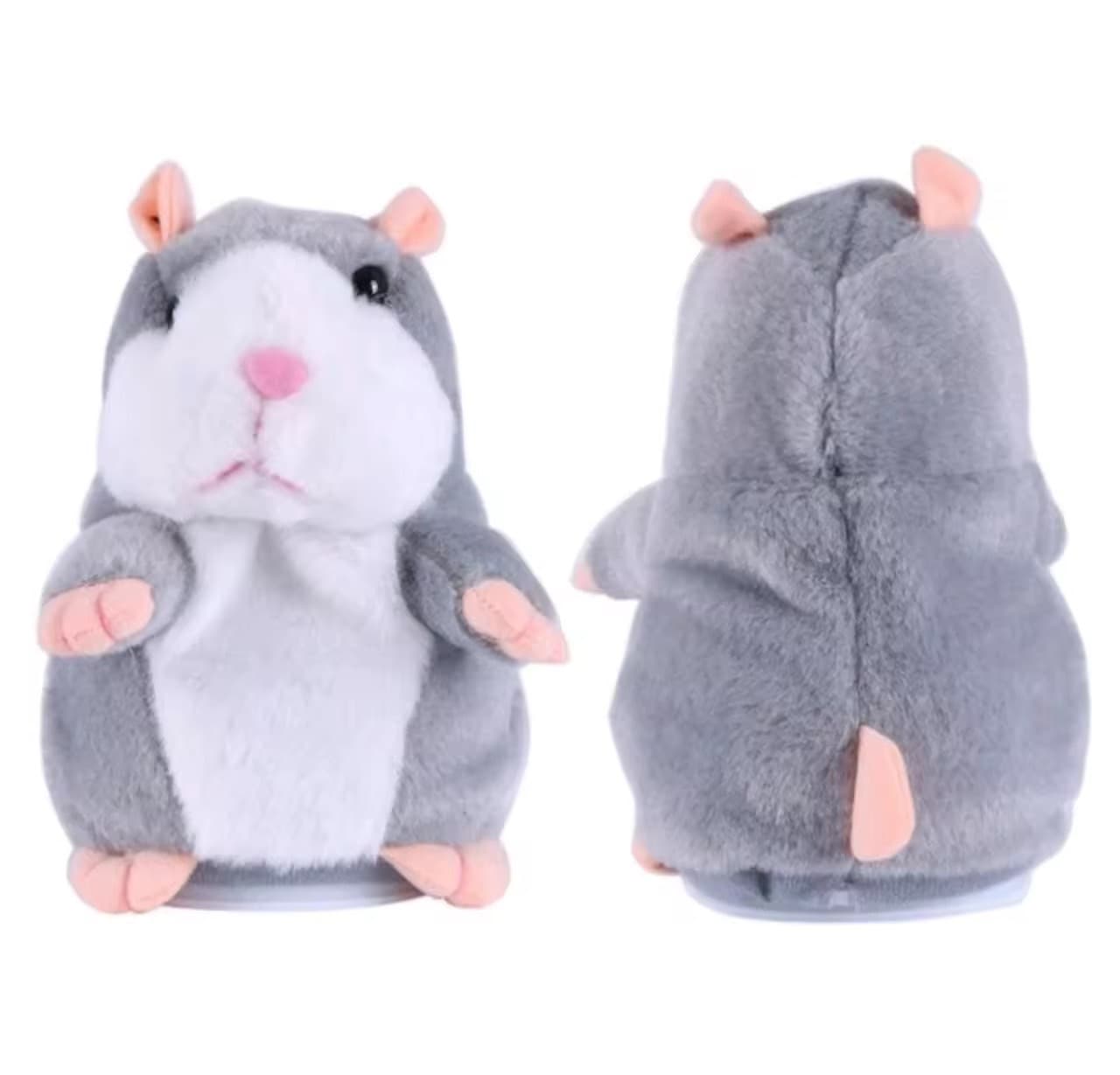 แฮมเตอพูดได้